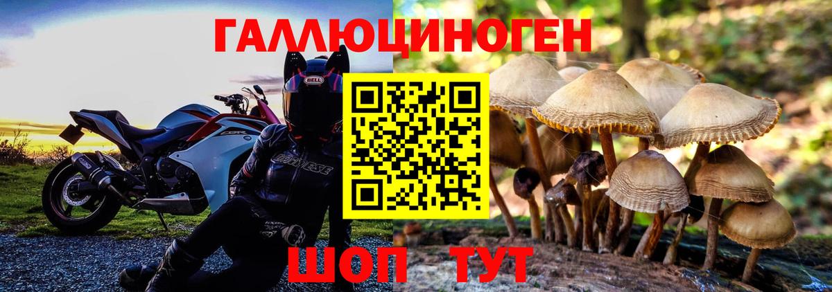 Пугачёв  Псилоцибиновые грибы Psilocybe  Вход с VPN  Псилоцибиновые грибы Magic Shrooms 